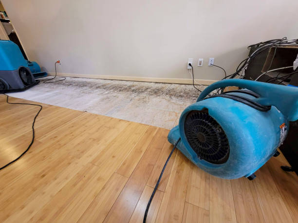 Professional Structural Drying technician working in Harbor Beach, MI